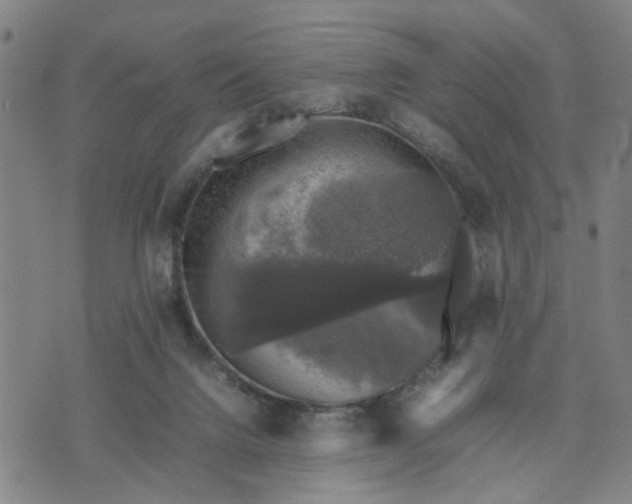 X0000074230072200609081631