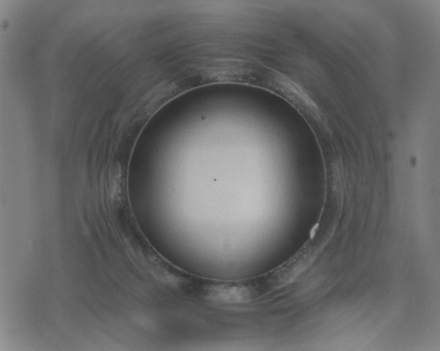 X0000074230073200609081631