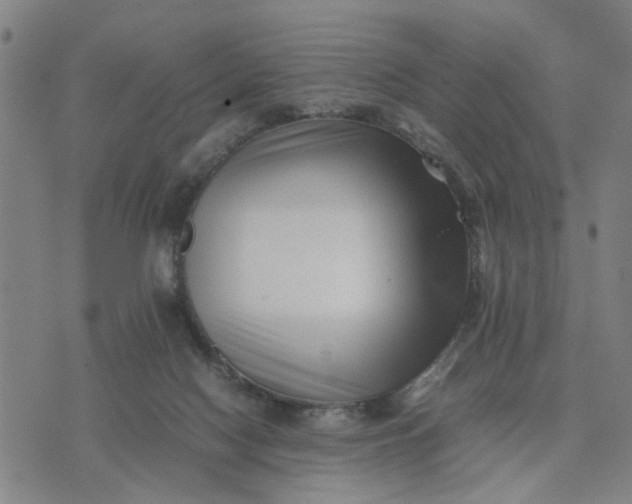 X0000074230074200609081631