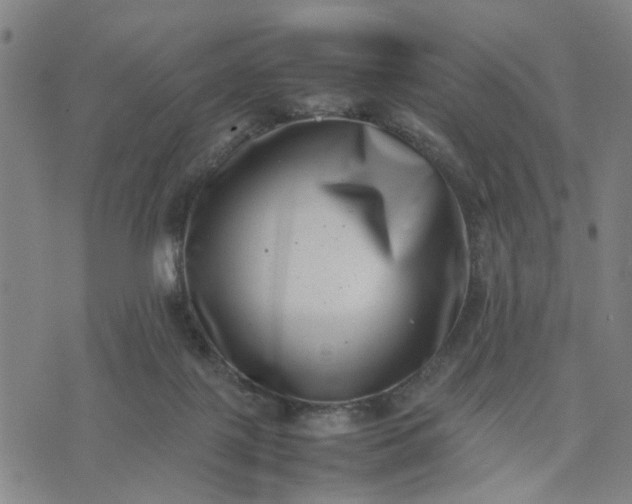 X0000074230075200609081631