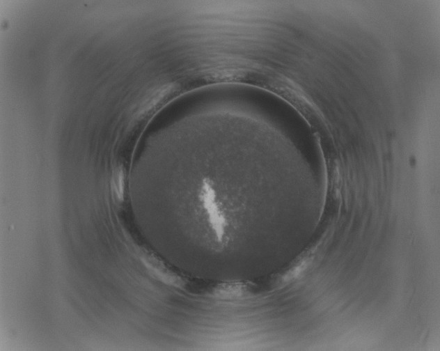 X0000074230076200609081632