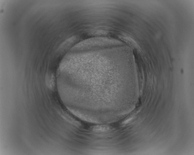 X0000074230077200609081632