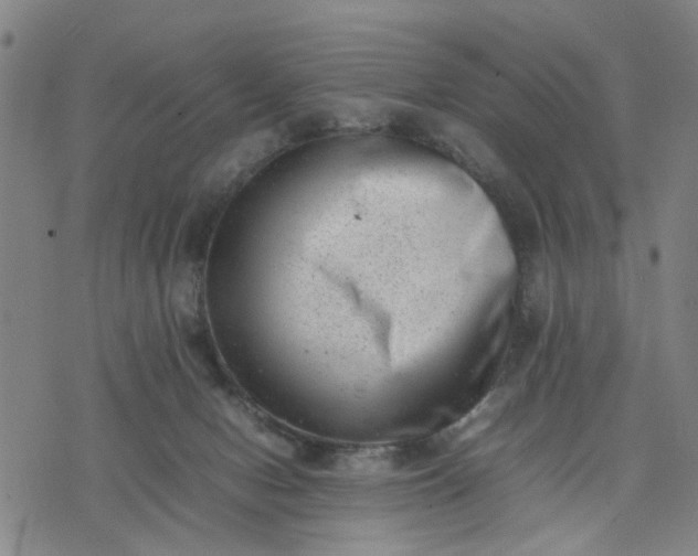 X0000074230078200609081632