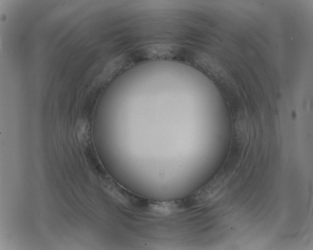 X0000074230079200609081632