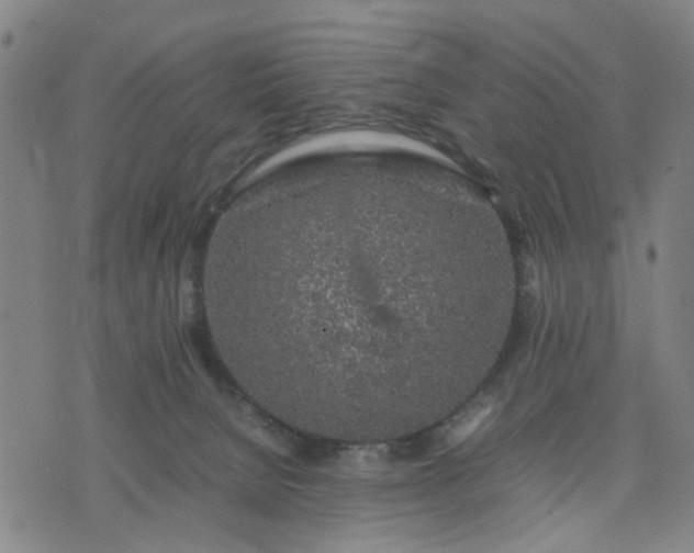 X0000074230080200609081632