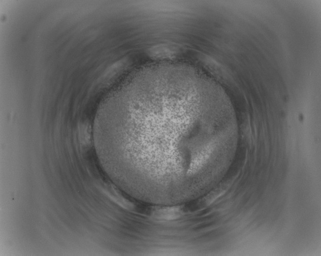 X0000074230081200609081632