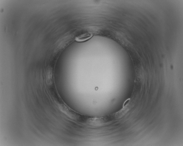 X0000074230082200609081632