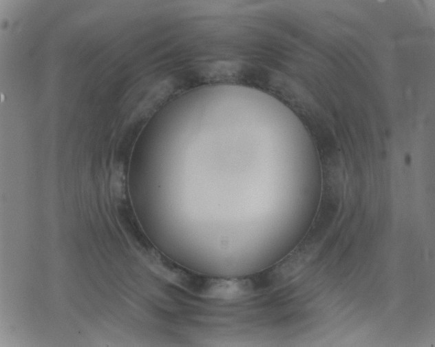 X0000074230083200609081632