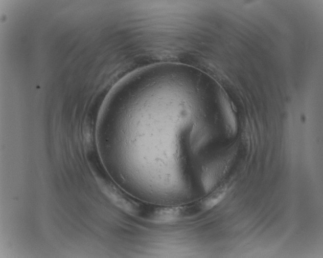 X0000074230084200609081632