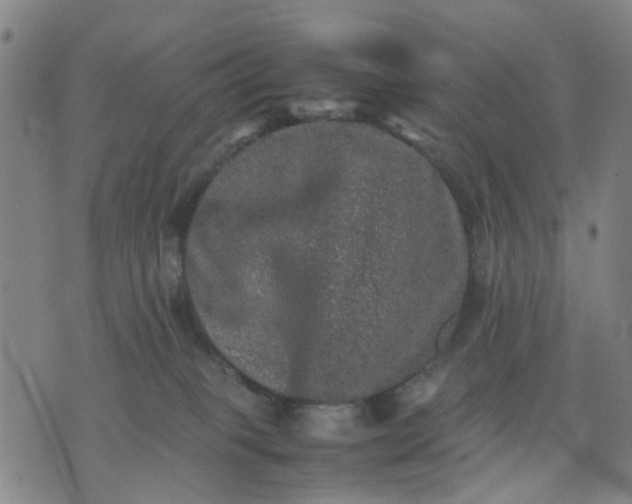 X0000074230085200609081632