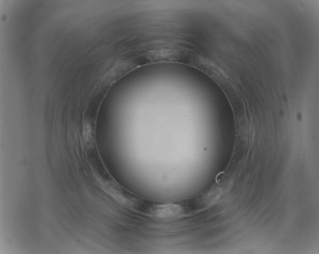 X0000074230087200609081632