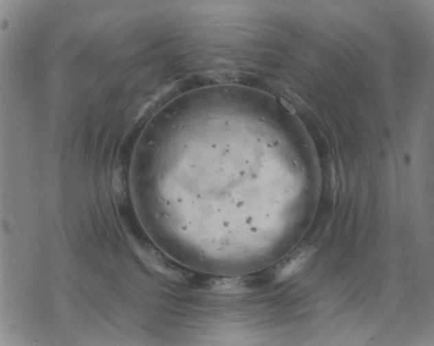 X0000074230088200609081632