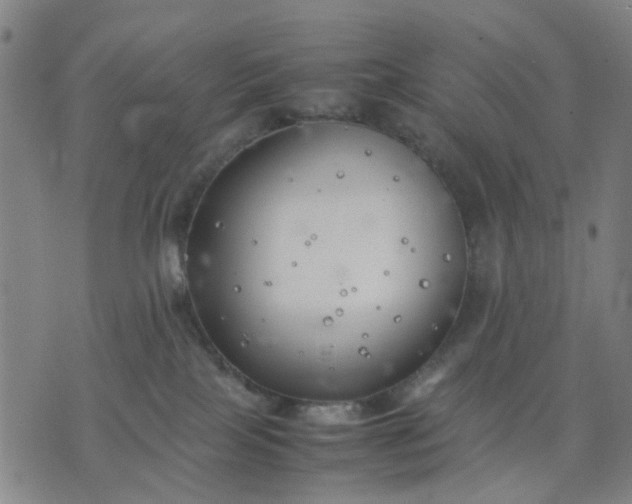 X0000074230089200609081632