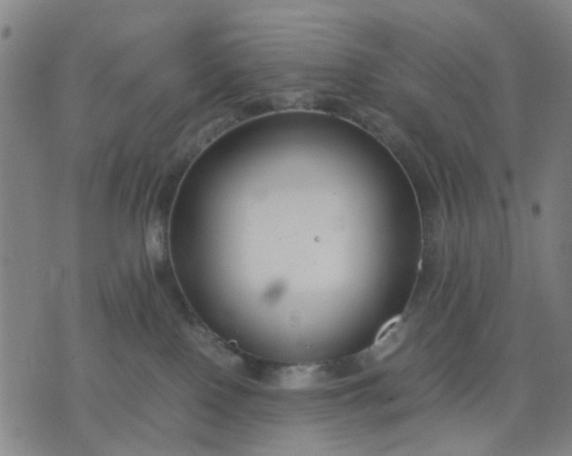 X0000074230090200609081632