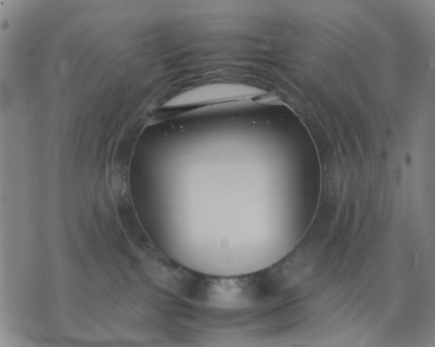 X0000074230091200609081632