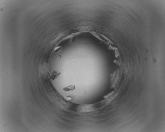 X0000074230093200609081632