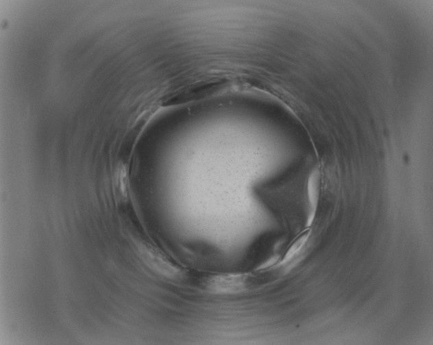 X0000074230094200609081632