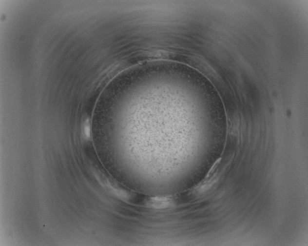 X0000074230095200609081632