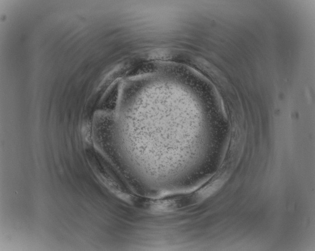 X0000074230096200609081632