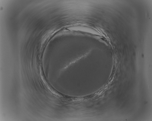 X0000074230097200609081631