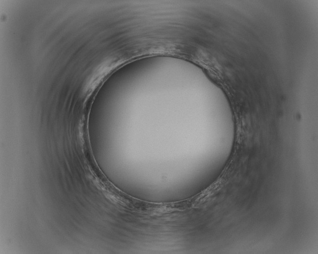 X0000074230098200609081631