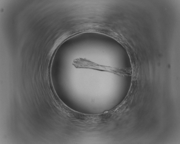 X0000074230099200609081631