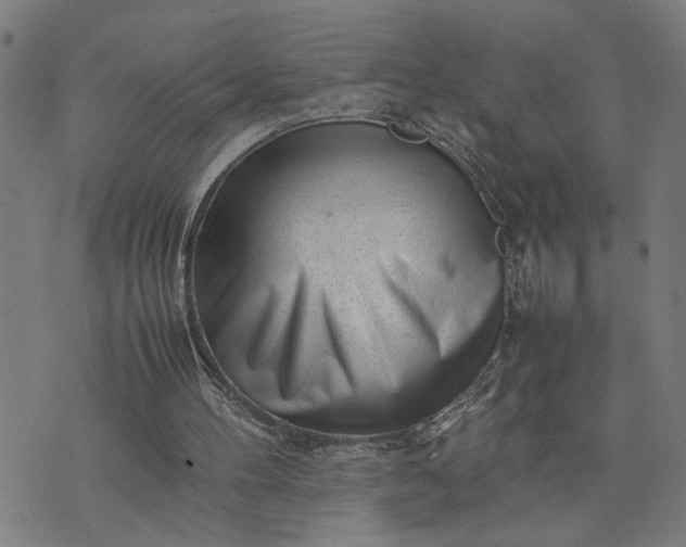 X0000074230100200609081631