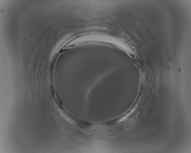 X0000074230101200609081631