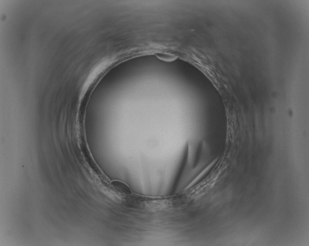 X0000074230102200609081631