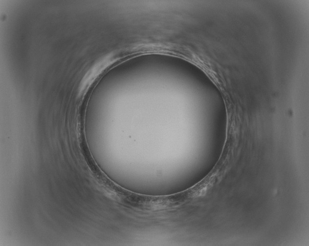 X0000074230103200609081631