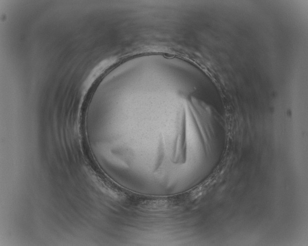 X0000074230104200609081631