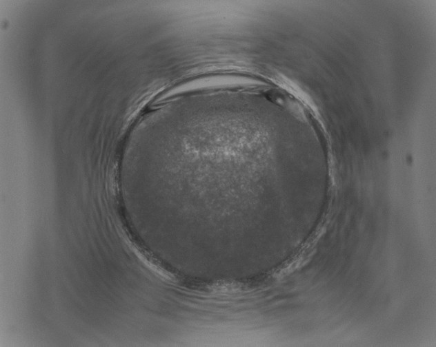 X0000074230105200609081631