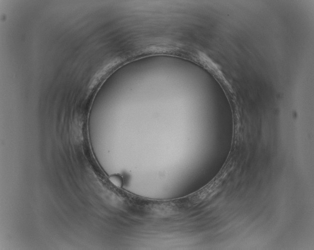 X0000074230106200609081631