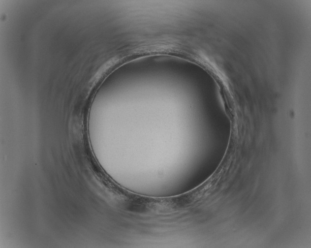 X0000074230107200609081631