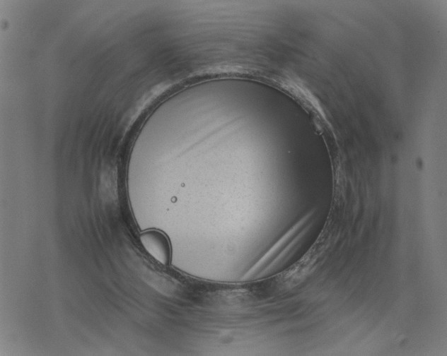 X0000074230108200609081631