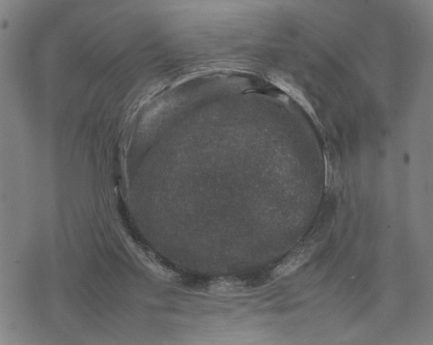 X0000074230109200609081631