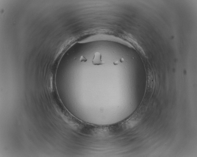 X0000074230110200609081631