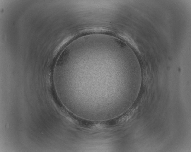 X0000074230111200609081631