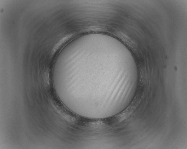 X0000074230112200609081631