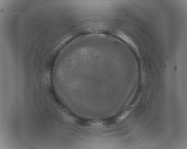 X0000074230113200609081631