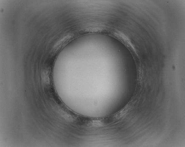 X0000074230114200609081631