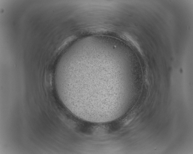 X0000074230115200609081631