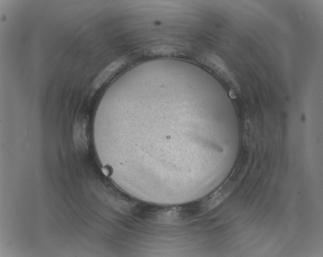 X0000074230116200609081631