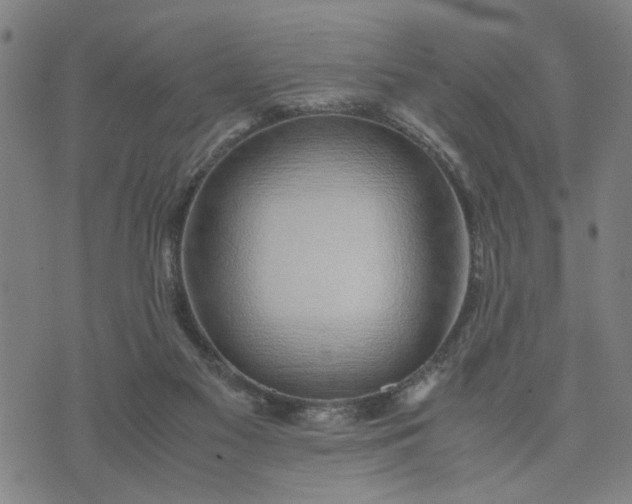 X0000074230117200609081631