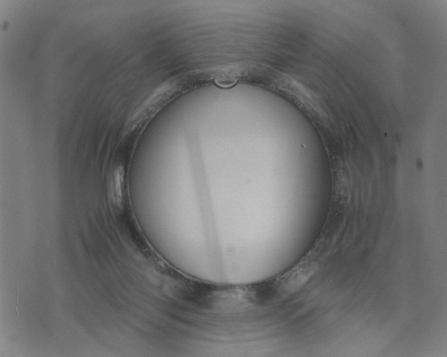 X0000074230118200609081631