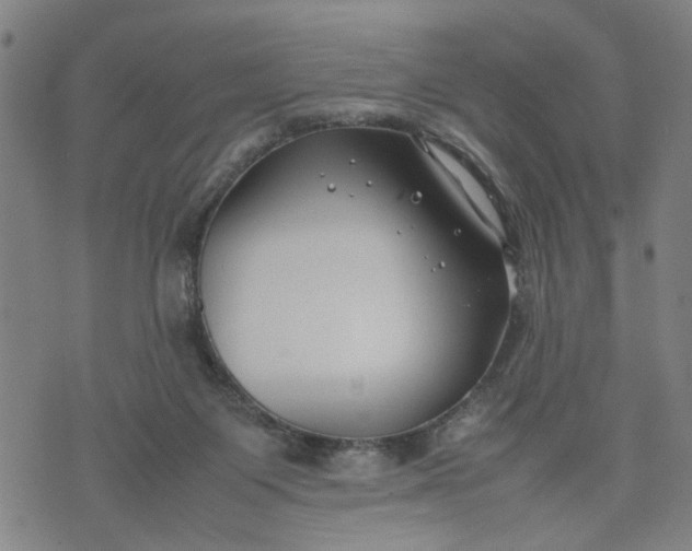 X0000074230119200609081631