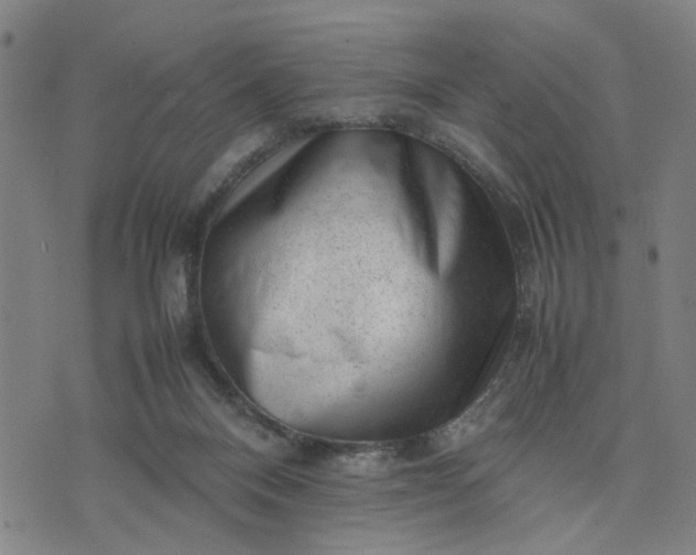 X0000074230120200609081631