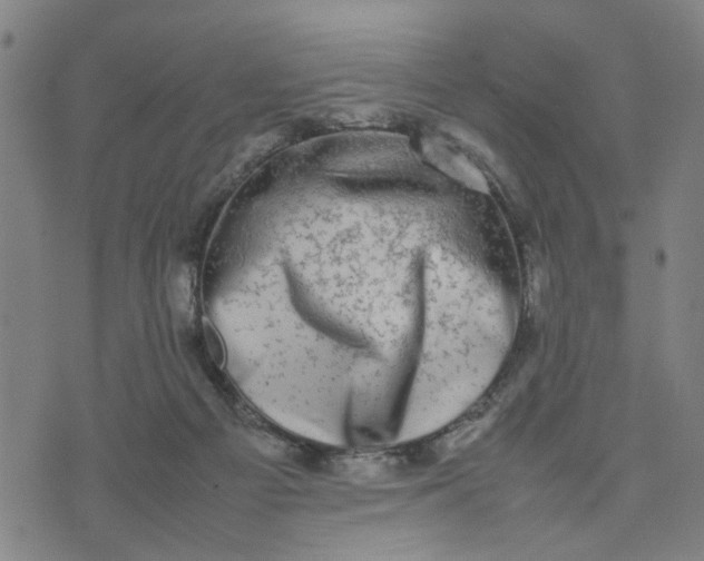 X0000074230121200609081631