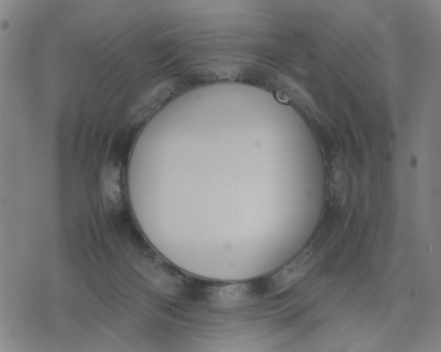 X0000074230122200609081631