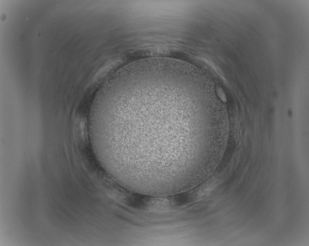 X0000074230123200609081631